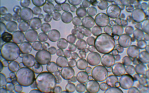 Emulsion Explosives Sensitizing Agents